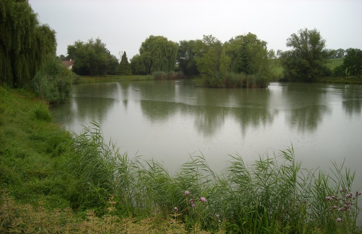 étang