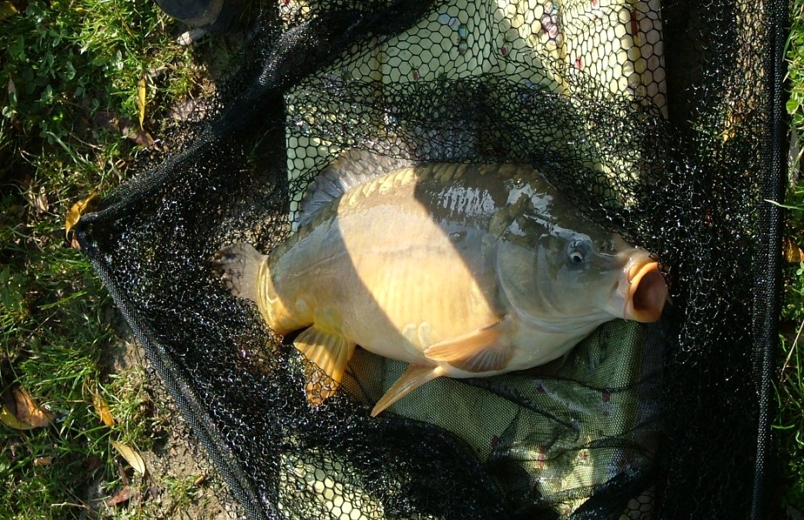 PÊCHE ETANG LE BREUIL